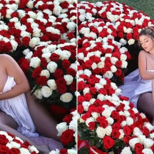 Demi Rose gets pulses racing in latest racy pH๏τoshoot as topless model protects her modesty with a sheet while reclining in a heart shaped floral decoration Demi Rose gets pulses racing in latest racy pH๏τoshoot as topless model protects her modesty with a sheet while reclining in a heart shaped floral decoration