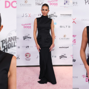 Stᴀssi Schroeder gets glam for 6th Annual Vanderpump Dog Foundation Gala